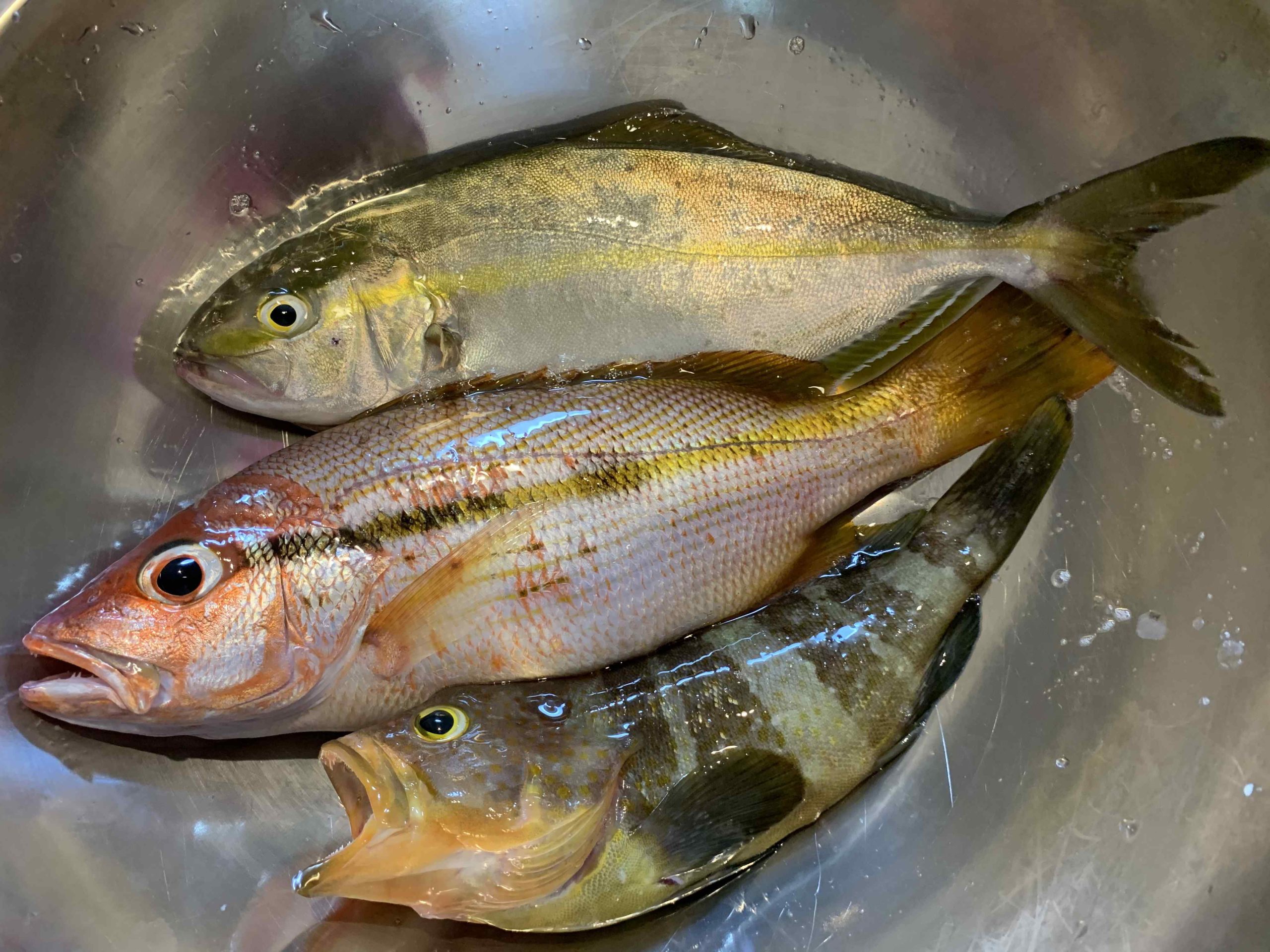 O4032302414879452980